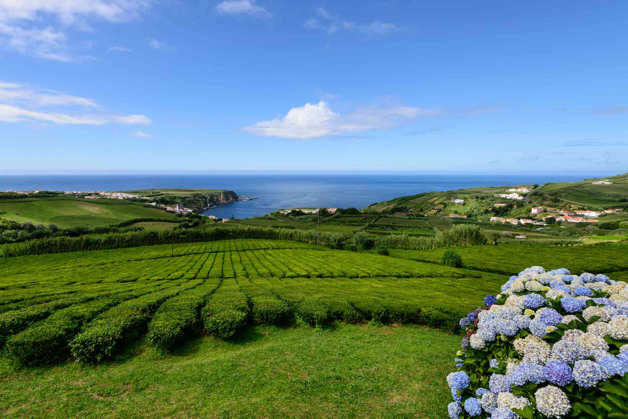 Blick auf die Landschaft von Porto Formoso - private Tagesreise von Ponta Delgada - Foto 3